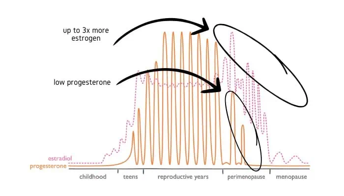 In the early phases of perimenopause, estrogen goes up, not down.